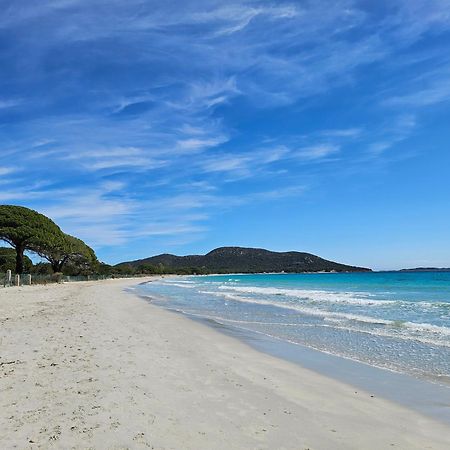 Residence Les Hameaux De Bocca Del Oro Porto-Vecchio  Dış mekan fotoğraf